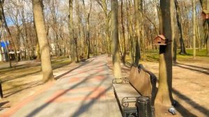 Our beautiful park of Gomel/Наш красивый Гомельский парк