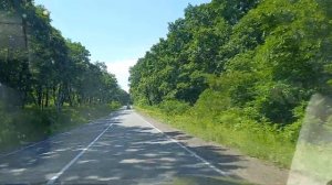 Дорога в бухту "Витязь".