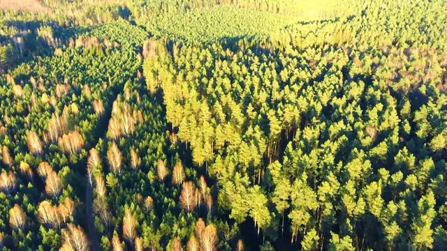 Последний день октября. Осень. смотреть онлайн