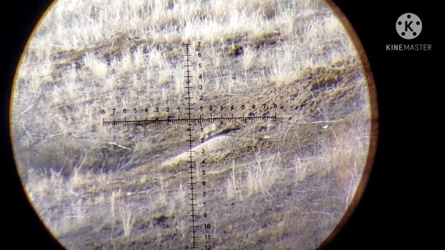 prairie dog hunt part 2 смотреть онлайн