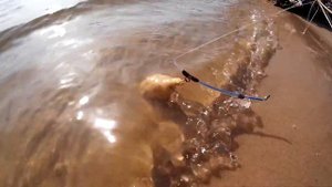 Уловистая снасть из шарикового стержня с одним крючком, который всегда висит над кормушкой