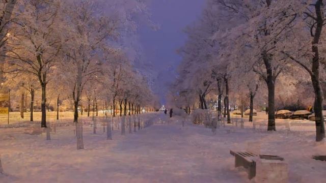 Зимний пейзаж фото. Пушистый снег на ветках деревьев.
