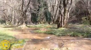 المنتزه الوطني لإفران.  Parc National d'Ifrane