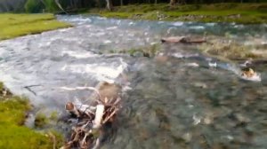 Горный Алтай. река Малая Катанда