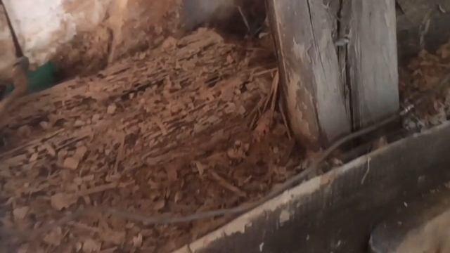 Стройка из глины и опилок. Лучше и теплее материала нет. смотреть онлайн