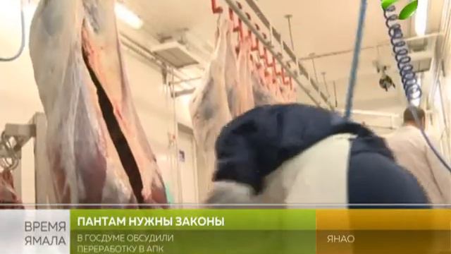 Как повысить эффективность? В Госдуме обсудили переработку сырья в оленеводстве