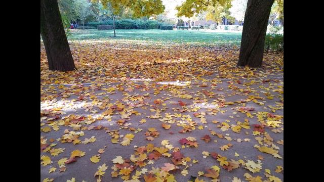 Радость в природе смотреть онлайн