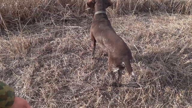 В Поисках Хищника Весенняя Рыбалка на Озерах и Ериках в Пойме смотреть онлайн