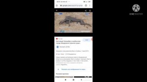 Топ 10 слов которые нельзя гуглить(уже не 10)