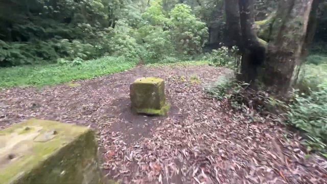 CUBO DE LA GALGA,LA PALMA 2024 смотреть онлайн