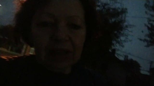 Благодарная кошка. смотреть онлайн