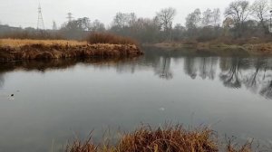 ОДНА РЫБА,ЗАТО КАКАЯ/РЫБАЛКА НА ЖИВЦА/fishing