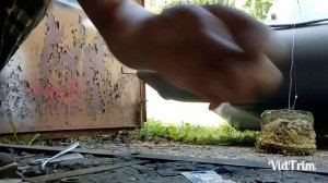 Снасть "Кольцо" на леща, поплавочка для леща, "фишка" якоря.