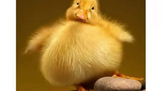 Как вылечить любую болезнь и оздоровиться. смотреть онлайн