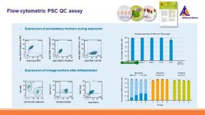 Automated stem cell manufacturing, analysis, and sorting for clinical applications [WEBINAR]