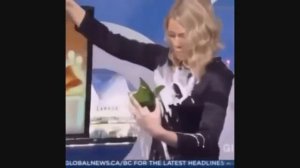 Как хорошо быть генералом.