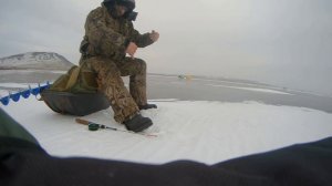 Ловля окуня на КВХ или окунь комсомолец.