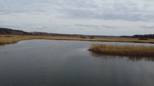 Лебеди. Пермский край. Кунгурский район