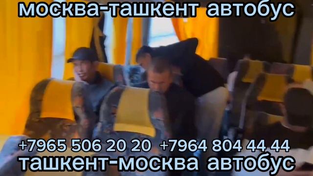 москва-узбекистан автобус москва-ташкент автобус#москва