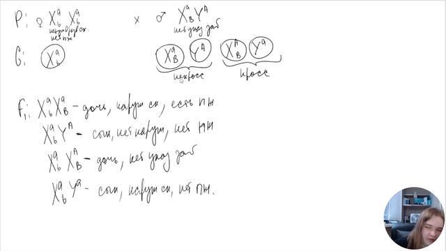 ПСЕВДОАУТОСОМНЫЕ УЧАСТКИ ЕГЭ БИОЛОГИЯ смотреть онлайн