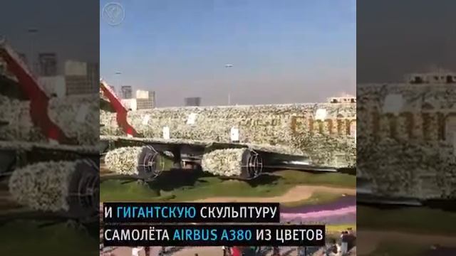 САМЫЙ БОЛЬШОЙ ЦВЕТОЧНЫЙ ПАРК В МИРЕ!!!БОЖЕСТВЕННАЯ КРАСОТА