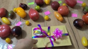 БИНГО ! БЛАГОДАРЮ ВАС МОИ ПОДПИСЧИКИ ? ! ( Продаю семена томатов)