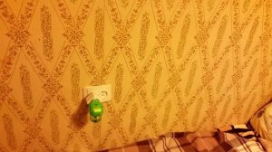 Умная розетка убивает комаров по расписанию.