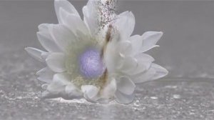 Garbage - И целого мира мало...