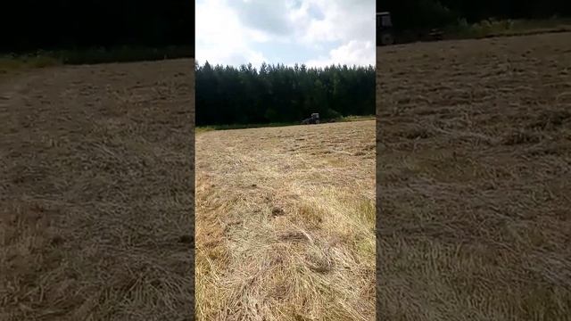 Сенокос 2021.от косьбы до сеновала смотреть онлайн