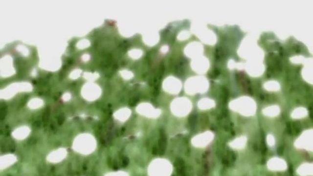 Видеопоэзия - Бабочка - Бродский