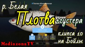 #рр4 р.Белая  Плотва + густера 14.05