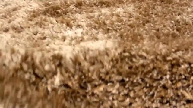 Модные ковры шегги. http://www.купить-ковер.рус/ смотреть онлайн