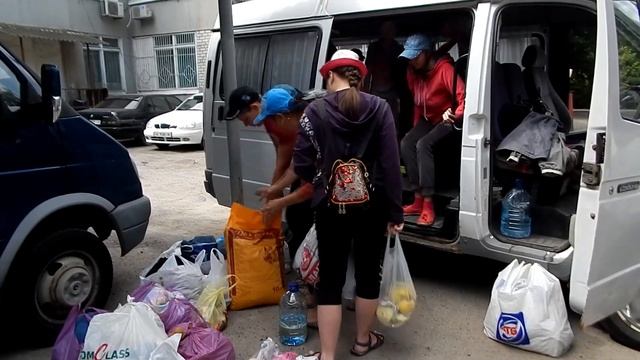 Обращение к подписчикам канала Ассоциации Защиты Животных смотреть онлайн