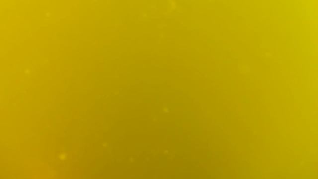 Сегодня копаю с телками!Пляжный поиск золота с металлоискателем под водой!
