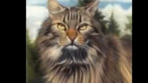 разные породы кошек. Смотрите фотографии кошек разных пород