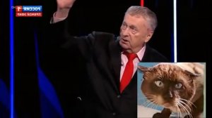 Жириновский снова воет