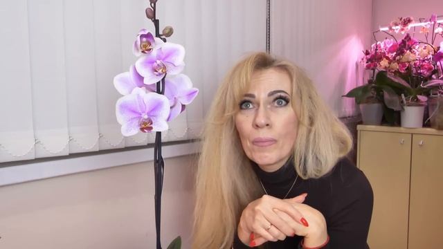 Выбор орхидеи Вас УДИВИТ или РАЗОЧАРУЕТ... С чем приехала с обзора? ОСТОРОЖНО - ЭМОЦИИ. смотреть онлайн
