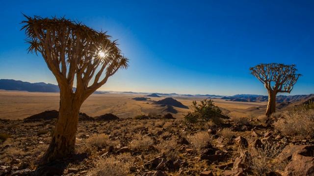 Deirdre Starr. Mother Nile смотреть онлайн