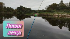 ЛОВЛЯ ЛЕЩА на ФИДЕР! ВЕЧЕРНЯЯ РЫБАЛКА на ЛЕЩА. РЫБАЛКА на ЛЕЩА на РЕЧКЕ. Вечерняя ловля рыбы
