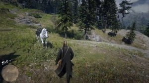 RDR 2 - Карта сокровищ "Большие надежды" часть 1