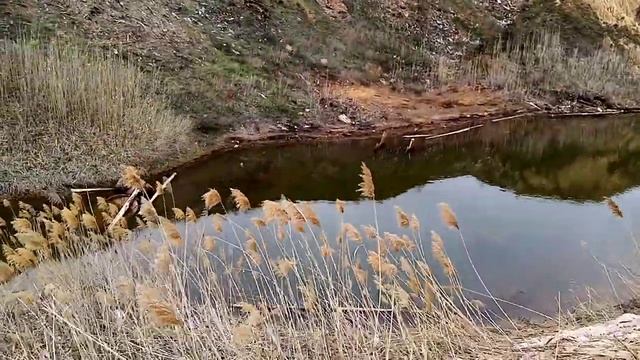 СОЛЬ-ИЛЕЦК. ОЗЕРО НОВОЕ, БЕСПЛАТНОЕ. АПРЕЛЬ 2021 смотреть онлайн