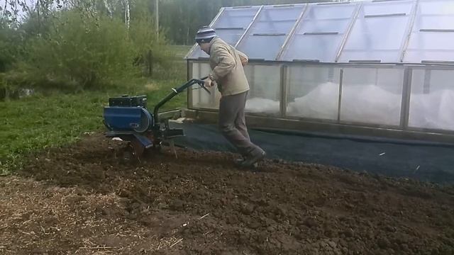 Рыхление земли с помощью мотоблока Нева.