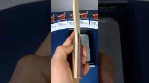 Donic Appelgren Allplay