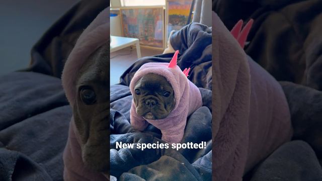 New species spotted!