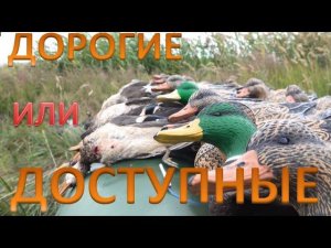 Отличная охота с доступными чучелами. НА ОХОТЕ С ЧУЧЕЛАМИ УТОК SOFTPLAST + Розыгрыш чучел