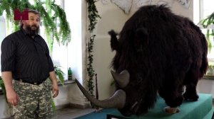 Музейный карантин: шерстистый носорог