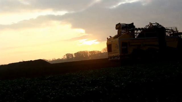 ROPA Tiger 6 bei der Zuckerrübenernte смотреть онлайн