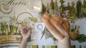 Подготовка бюджетных контейнеров для фитильного полива. Советы начинающим.