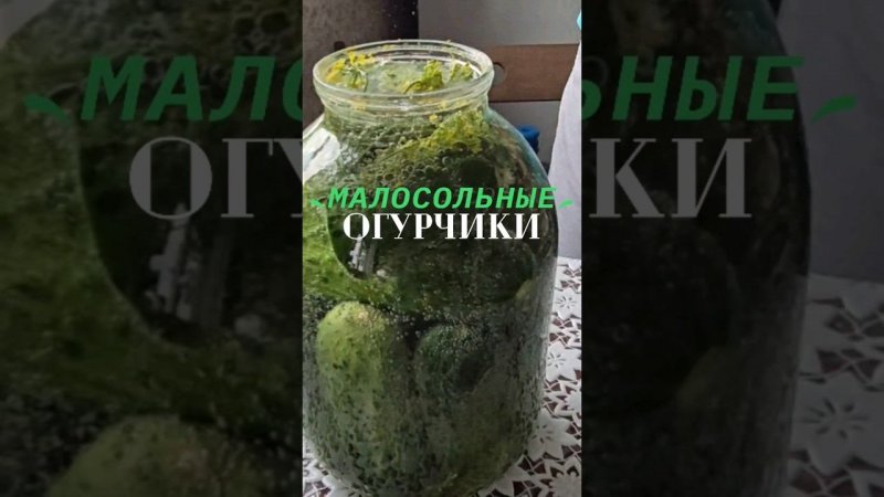 ОГУРЧИКИ МАЛОСОЛЬНЫЕ на газированной воде #дачныйвлог #рябинаудачи #рецепт