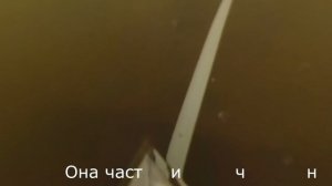 Дно Невы не было дном еще недавно. Санкт-Петербург.